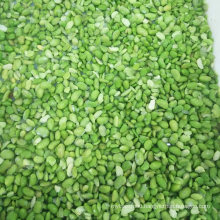 Frozen IQF Broken Edamame Kernel, Soya Beans